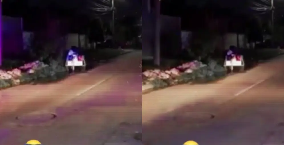 Autoridades investigan hallazgo de restos humanos en sector de San Pedro Sula