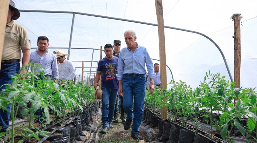 Gobierno ampliará ProOccidente con inversión de $17 millones para fortalecer el agro